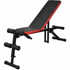 Panca Inclinata Per Addominali Regolabile VidaXL