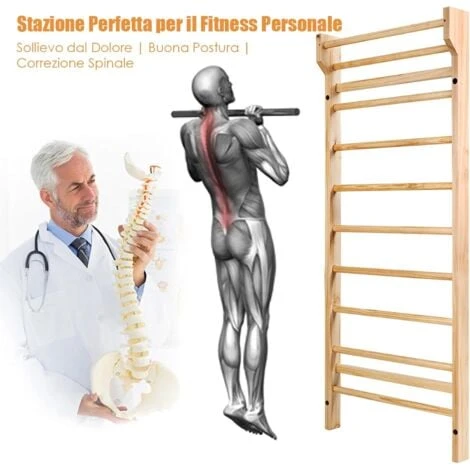 COSTWAY Spalliera Svedese Adulti E Bambini - Scala Svedese In Legno Di Pino A 10 Gradini - Spalliera Palestra E Casa Carico Massimo 100 Kg Per Fitness E Ginnastica 195 X 80 X 14 Cm 4 COSTWAY Spalliera Svedese Adulti E Bambini - Scala Svedese In Legno Di Pino A 10 Gradini - Spalliera Palestra E Casa Carico Massimo 100 Kg Per Fitness E Ginnastica 195 X 80 X 14 Cm - immagine 4