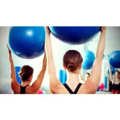 Palla Fitness Gonfiabile Con Pompa Per Esercizi Di Pilates Yoga Ginnastica Preparto E Equilibrio Diametro 65 Cm -Armonia Casa 40467656 3