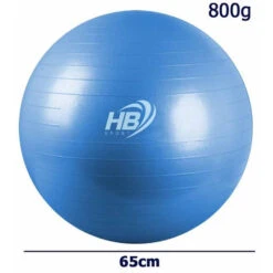 Palla Fitness Gonfiabile Con Pompa Per Esercizi Di Pilates Yoga Ginnastica Preparto E Equilibrio Diametro 65 Cm -Armonia Casa 40467656 4