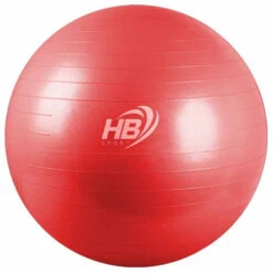 Palla Fitness Gonfiabile Con Pompa Per Esercizi Di Pilates Yoga Ginnastica Preparto E Equilibrio Diametro 55 Cm 6 Palla Fitness Gonfiabile Con Pompa Per Esercizi Di Pilates Yoga Ginnastica Preparto E Equilibrio Diametro 55 Cm -Armonia Casa 46427398 3