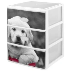 Lotto Di 3 Scatole In Colore Nero 380 X 370 X 473 Con I Disegni Del Cane