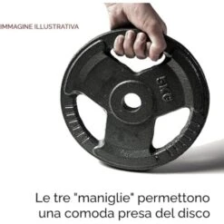 CAST IRON WEIGHT 30,5mm 2,5kg FFitness -Armonia Casa 70923260 3