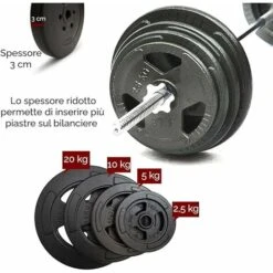 CAST IRON WEIGHT 30,5mm 2,5kg FFitness -Armonia Casa 70923260 4