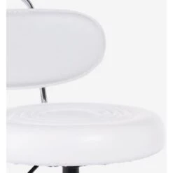 Sgabello Estetista Regolabile Ergonomico Ufficio Studio Medico Kurili Colore: Bianco 9 Sgabello Estetista Regolabile Ergonomico Ufficio Studio Medico Kurili Colore: Bianco -Armonia Casa 99956229 5